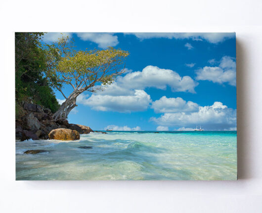 Fotoleinwand-Strand - Baum - Felsen - Meer Commendo360.de