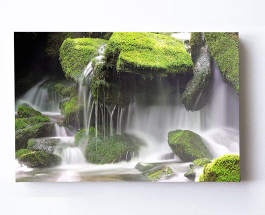 Fotoleinwand - Natur - Wasserfall - Moos