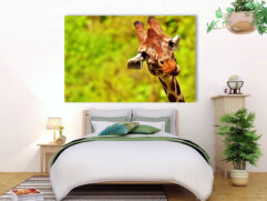 Fotoleinwand - Giraffe guckt rein