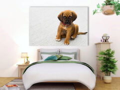 Fotoleinwand - Ein Puggle Welpe